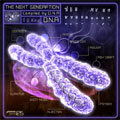 The Next Generation Compiled By DNA