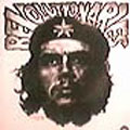 Revolutionaries : Che Guevara Cover