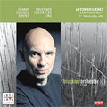 Bruckner: Symphony No.8 (First Version 1884-7):Dennis Russell Davies(cond)/Linz Bruckner Orchestra