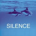 Sound Of Silence 5 / Various Artists