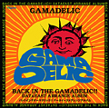 BACK IN THE GAMADELIC!! ～DATAEAST ARRANGE ALBUM～