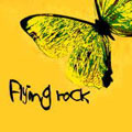 Flying Rock