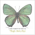 night butterfly<限定盤>