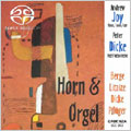 HORN & ORGAN:BERGE/LITAIZE/DICKE/PFLUEGER :ANDREW JOY(hrn)/PETER DICKE(org)