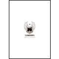 Shinhwa Vol.9 : White Edition [CD+Photo]<限定盤>