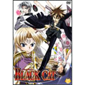 BLACK CAT Vol.3