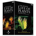BBC 植物たちの挑戦 DVD-BOX（6枚組）
