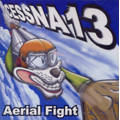 Aerial Fight