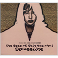 Struggling:The Best Of Shin hae-Chul [3CD+VCD]