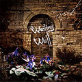 Wailing Wall  [CD+DVD]<5,000枚限定生産盤>