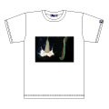 musee×Tadayuki Naitho Tシャツ OMT-HYP 05 (サイズ:M)