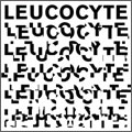 Leucocyte (EU)