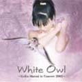 White Owl-Keiko Matsui in Concert-