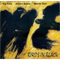 Birds in Black<初回生産限定盤>