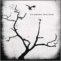 The Airborne Toxic Event