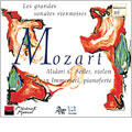Mozart : Les Grandes Sonates Viennoises / M. Seiler, Immerseel