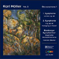 Karl Holler Vol.3 -Orchestral Works No.1 :Symphonies No.1 Op.40/No.2 Op.65 :Hermann Baumer(cond)/Bamberg SO/etc
