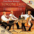 Schubert:Piano Trios No.1 Op.99 D.898/No.2 Op.100 D.929 (10/2006) :Storioni Trio Amsterdam