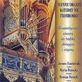 The Famous Organ in Frombork Cathedral - Romantic Works for Trumpet, Violin & Organ / Janusz Szadowiak(tp/Flugelhorn), Maria Perucka(vn), Roman Perucki(org)