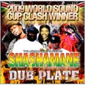 SHASHAMANE DUB PLATE MIXXX