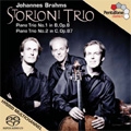 Brahms: Piano Trios No.1 Op.8, No.2 Op.87  / Storioni Trio [2SACD Hybrid+DVD(PAL)]