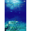 BGV:ときめきマリン・シリーズ Marine Paradise Vol.2～グアム/サイパン編～