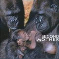 SECOND MOTHER