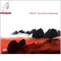 Tug at China's Heartstrings -Jolly Tune/Night Banquet/Street Musicians/etc :China Central Music Academy Orchestra