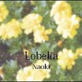 Lobelia