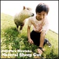 Natural Sheep Gut