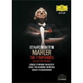 Mahler: The Symphonies/ Bernstein