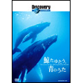 ディスカバリー・チャンネル 鯨たゆたう、青のうた