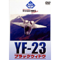 YF-23 ブラックウィドウ