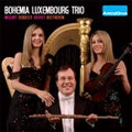 Works for Flute, Viola and Harp - Mozart, Debussy, A.Jolivet, Beethoven / Bohemia Luxembourg Trio