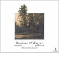 ブルックナー:弦楽五重奏曲/ワーグナー:ヴェーゼンドンク歌曲集:ウィーン弦楽六重奏団/ミシェル・ブレート(S)