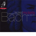 J.S.Bach: Motets BWV.225-BWV.230  / Peter Dijkstra(cond), Netherlands Chamber Choir
