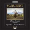 Schubert : Piano Sonatas (Wallet Version)
