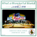 What a Wonderful World! Vol.3 (1998-2002)