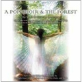 A Pop Choir & The Forest