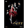 恋するハイエナ DVD-BOX(9枚組)