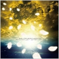 Another Gravity / Nile<完全限定生産盤>