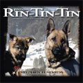 Finding Rin Tin Tin<完全生産限定盤>