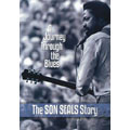 A Journey Through the Blues : The Son Seals Story