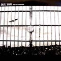 JAIL BIRD/PLANET ROCK（アナログ限定盤）＜初回生産限定盤＞