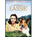 名犬ラッシー／ラッシーの勇気