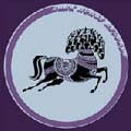 【輸入盤】Ｔｈｅ　Ｄａｒｋ　Ｈｏｒｓｅ　Ｙｅａｒｓ　１９７６－１９９２（５ＣＣＣＤ＋２ＳＡＣＤ　Ｈｙｂｒｉｄ＋ＤＶＤ） <CCCD><SACD> The Dark Horse Years 1976-1992 ［5CCCD+2SACD Hybrid+DVD