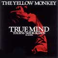 TRUE MIND ～TOUR '95-'96 FOR SEASON in motion