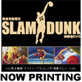 数量生産限定 SLAM DUNK体験版DVD