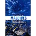 virtual trip MALDIVES Diving View