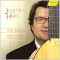 Italian Lute Music -Piccinini/M.Galilei/G.G.Kapsberger/etc (1/15-17/2007):Joachim Held(lute)/Carsten Lohff(org)